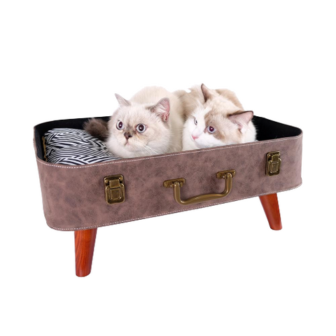 Cat Beds & Furniture