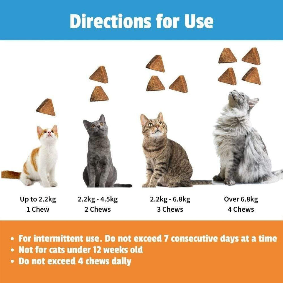 Thunderwunders Calming Chews for Stressed and Anxious Cats 180g