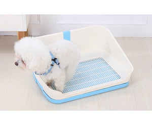 Medium Dog Potty Training  Tray With Wall - Blue
