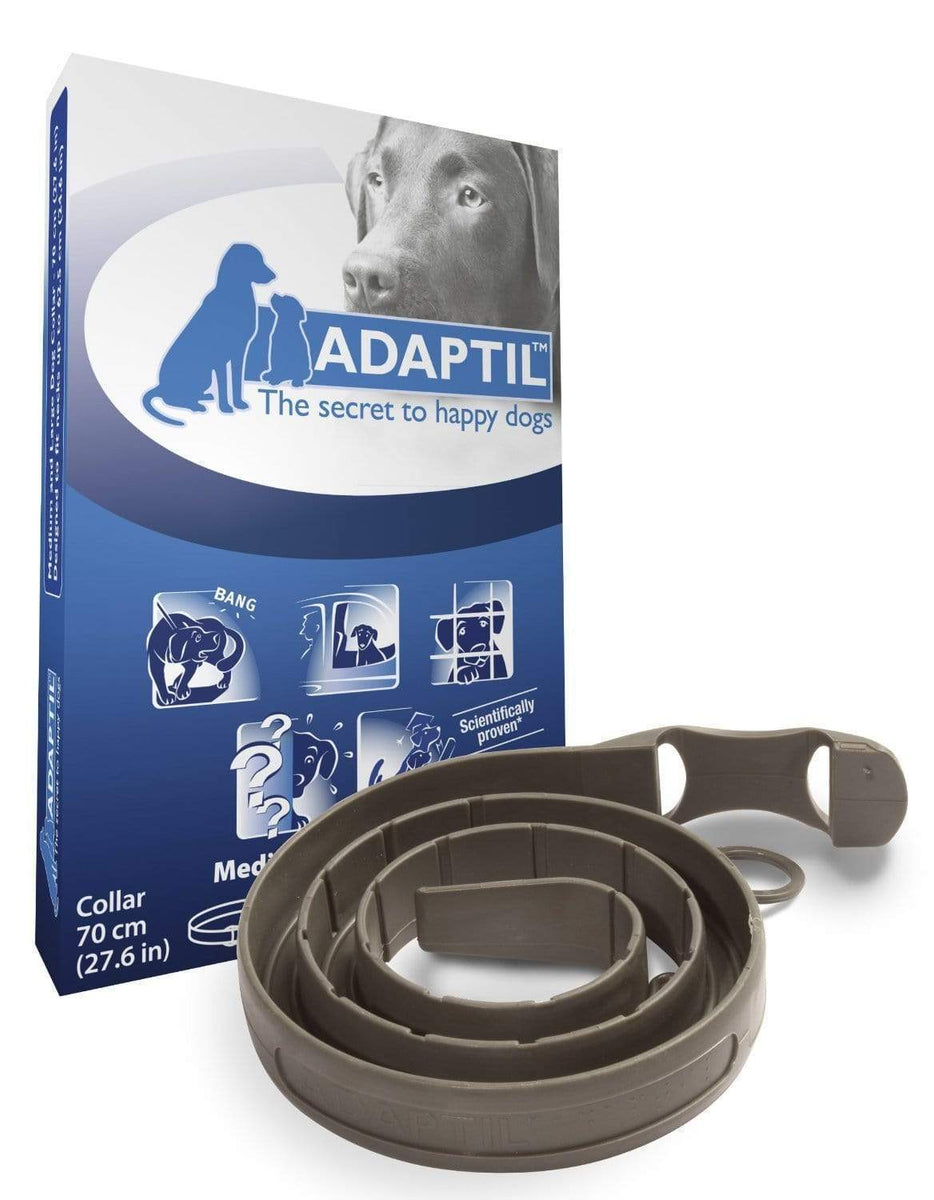 Calming collars for dogs australia hotsell