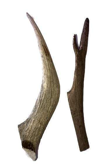 Mule Deer Faux Antler