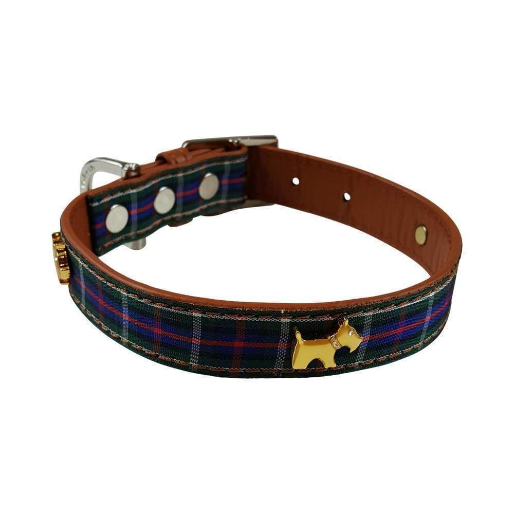 Blue tartan 2025 dog collar