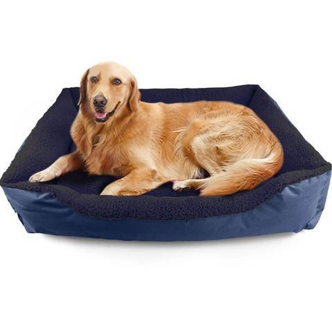 Dog Beds & Furniture
