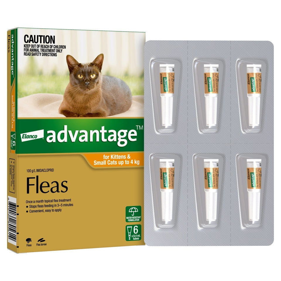 Advantage Orange Cat/Kitty (6 Pack)