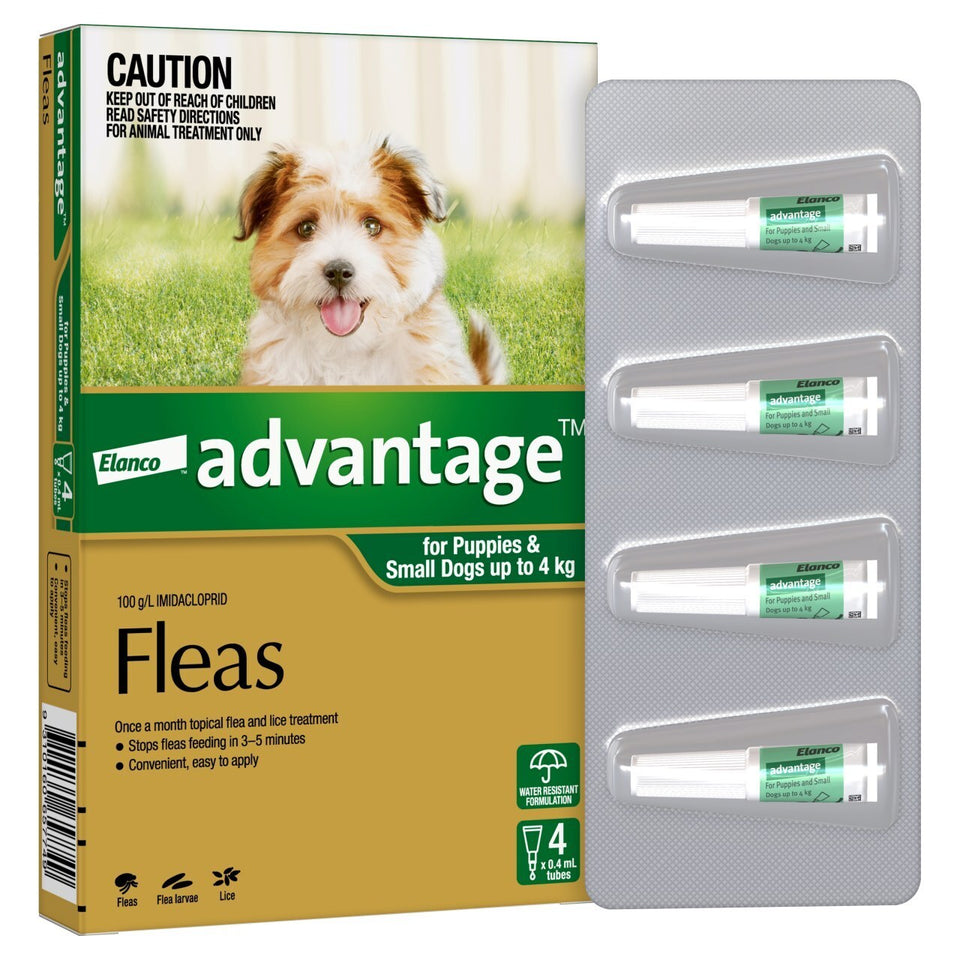 Advantage Green Small Dog/Pup (4 Pack)