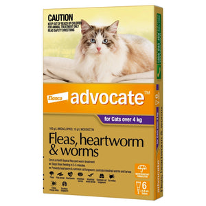 Advocate Purple Large Cat + 4Kg (6 Pack)