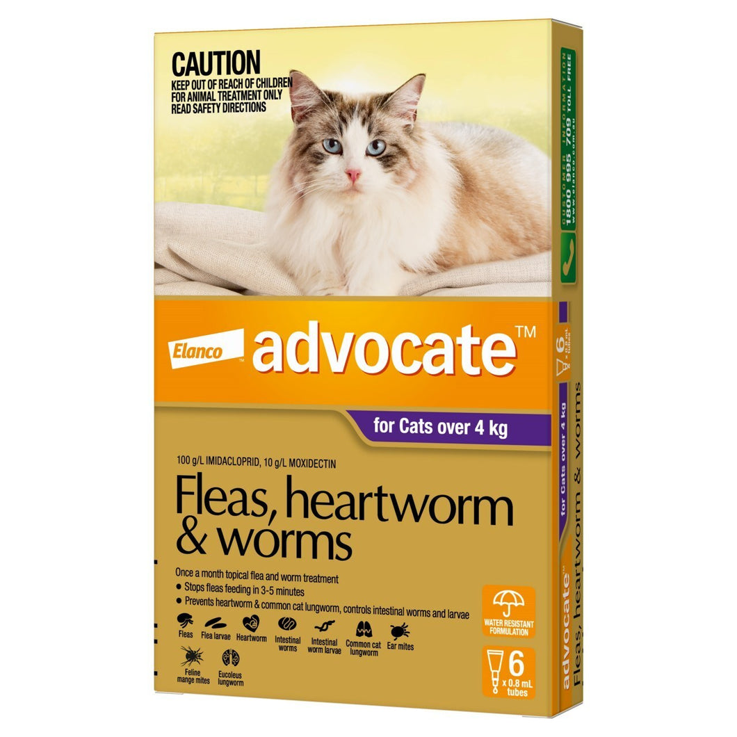 Advocate Purple Large Cat + 4Kg (6 Pack)