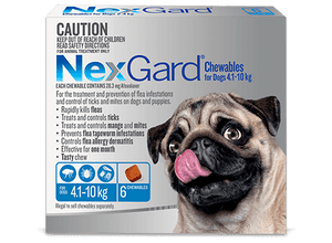 Nexgard For Dogs 4.1-10Kg - Blue 6 Pack