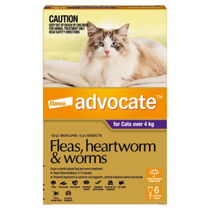 Advocate Purple Large Cat + 4Kg (6 Pack)