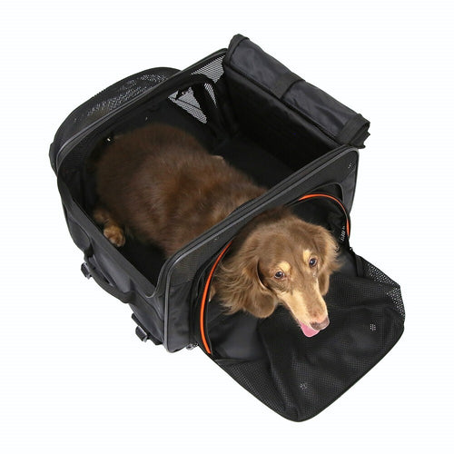 Ibiyaya JetPaw: Expandable Pet Carrier & Backpack - Obsidian/Orange