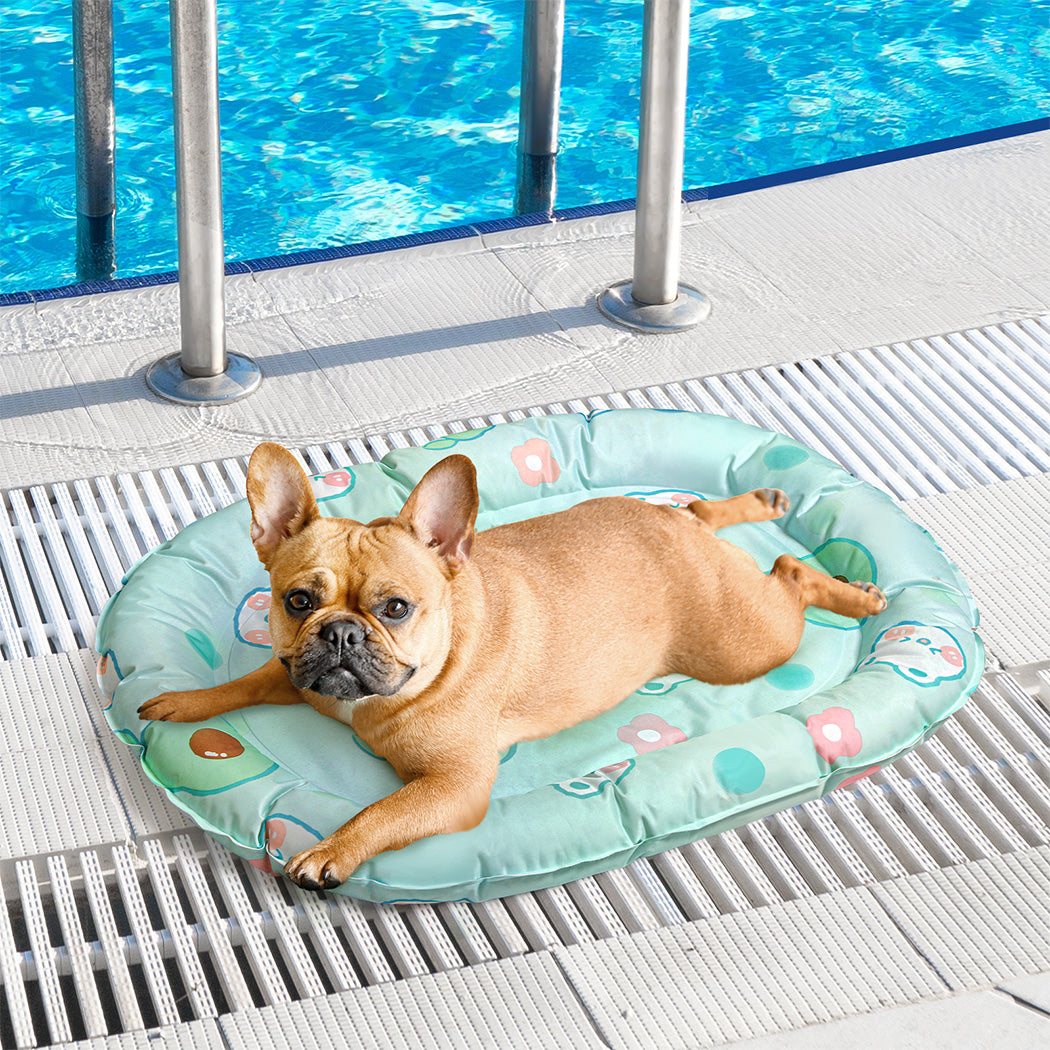 Oval Cooling Mat - Bear