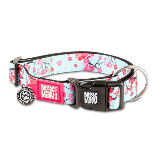 Max & Molly Smart ID Dog Collar - Cherry Bloom