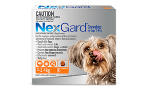 Nexgard For Dogs 2-4Kg - Orange 6 Pack