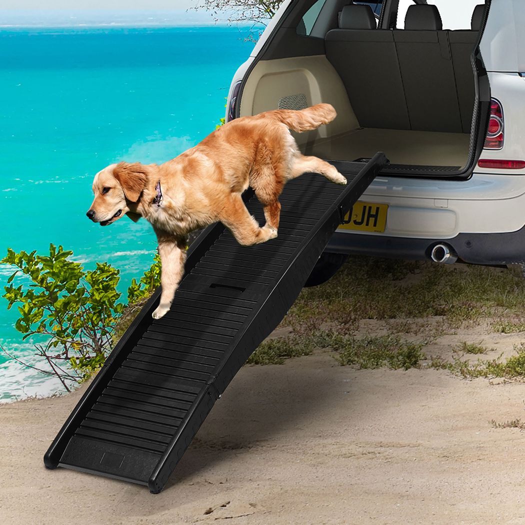 Foldable Lightweight Dog Ramp