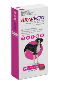 Bravecto Flea & Tick Control Chew - Purple Pack for Very Large Dogs over 40kg - Single Chew