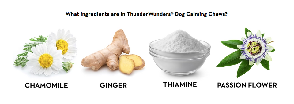 ThunderWunders Calming Chews for Stressed and Anxious Dogs 125g