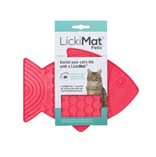 LickiMat Casper Slow Food Bowl for Cats