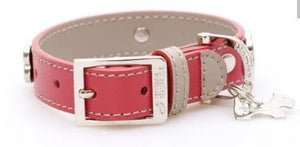 Red Bones Bling Dog Collar