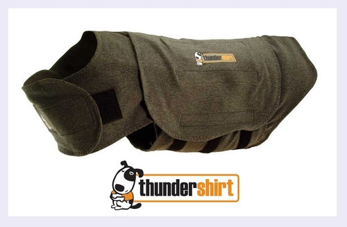 Thunder Shirt Anxiety Vest for Dogs