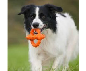 Octopus Retrieval Ball - Fetch Toy by Major Dog