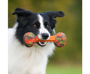 Barbell Retrieval Toy by Major Dog