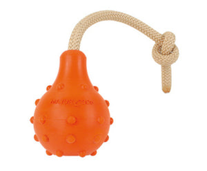 Floating Fetch Toy with Handle by Major Dog