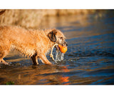 Floating Fetch Toy with Handle by Major Dog