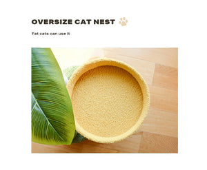 Coconut Palm Cat Scratching Post/ Pole