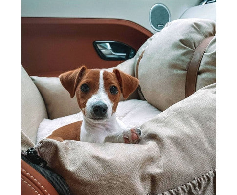 PREMIUM DOG BOOSTER SEAT FOR SMALL PETS