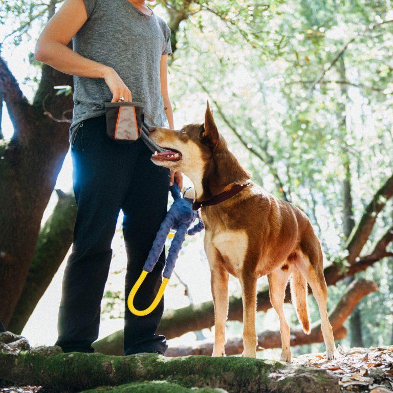 Adventure Treat & Ball Bag - by Zippy Paws