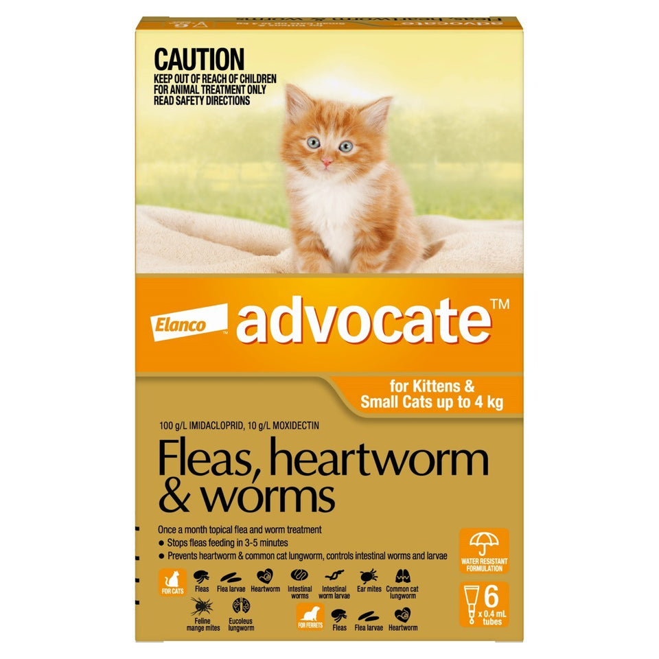 Advocate Orange Small Cat 0-4Kg (6 Pack)