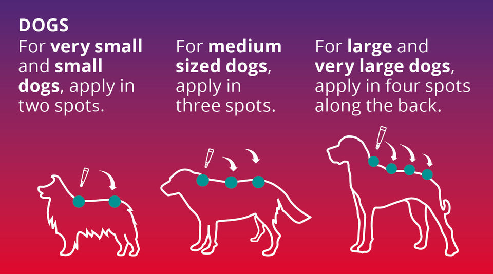 Bravecto Spot-on Flea & Tick Treatment for Dogs 40-56kg