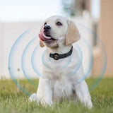 120m Waterproof Bluetooth Pet Locator