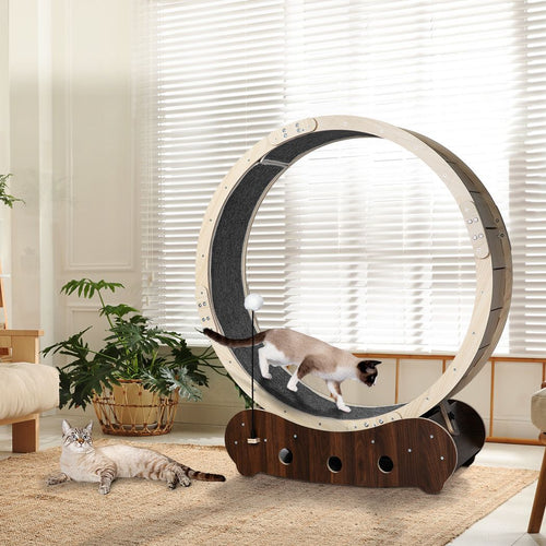 Cat Exercise Wheel/ Cat Treadmill