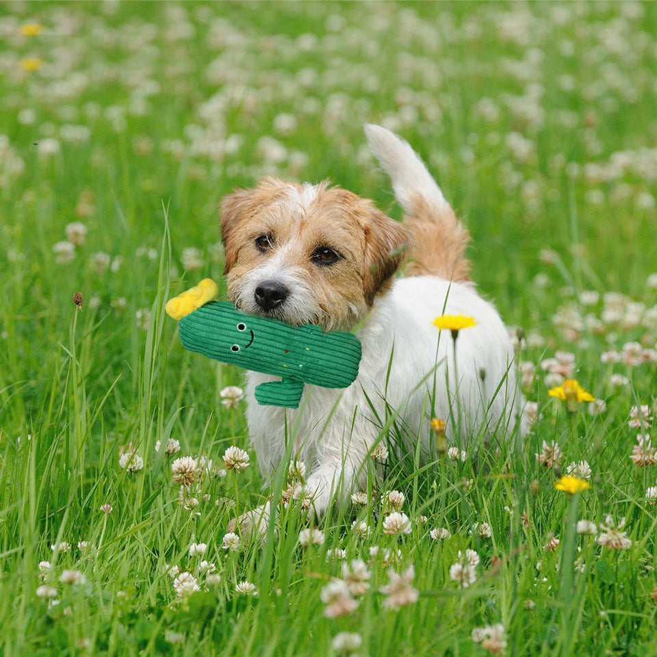 Interactive Soft Plush Non-toxic Dog Chew