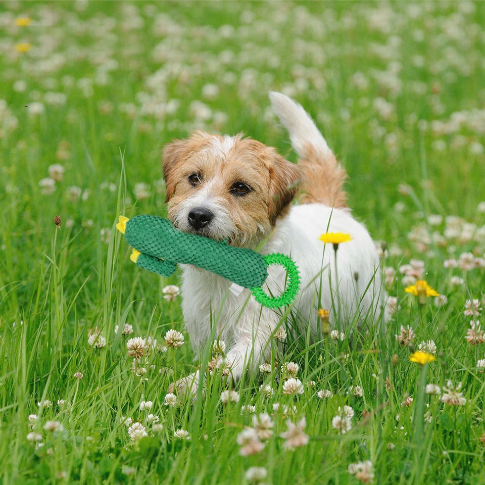Soft Plush Non-toxic Dog Chew