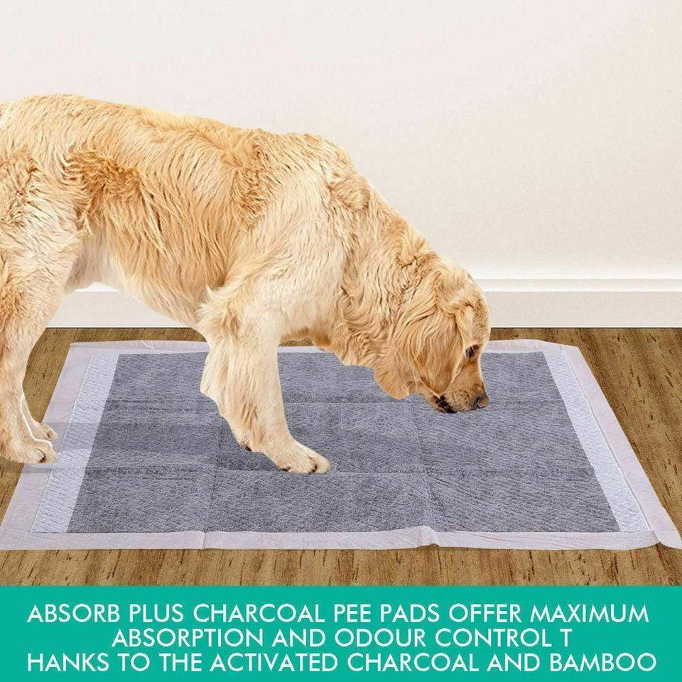 50cm x 60cm x 60cm PUPPY TOILET TRAINING PADS ULTRA ABSORBENT - CHARCOAL