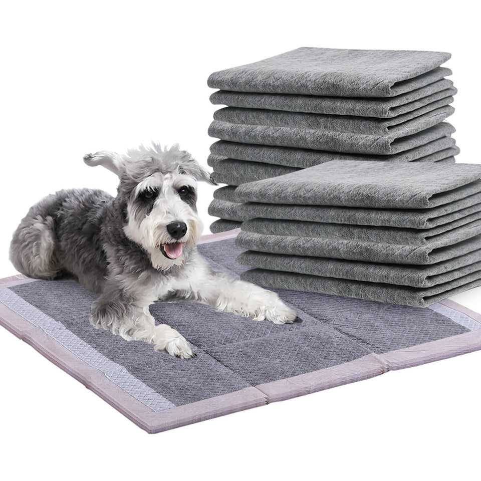50cm x 60cm x 60cm PUPPY TOILET TRAINING PADS ULTRA ABSORBENT - CHARCOAL