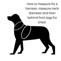 Aqua Swimmable Dog Harness by Hamish McBeth