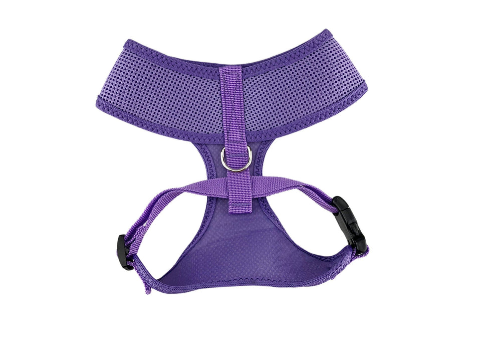 Purple Dog Harness by Hamish McBeth