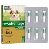 Advantage Dog Green Small (6 Pack)