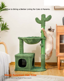 Cactus Cat Scratching Tree and Condo House Bed