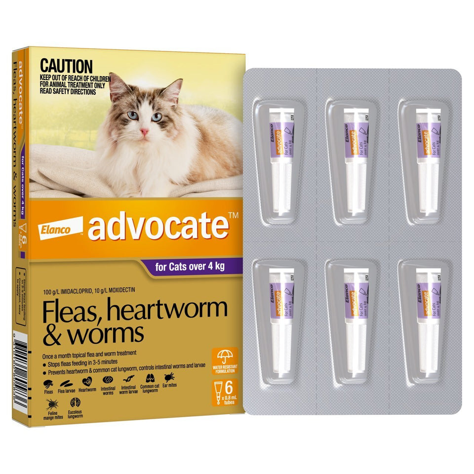 Advocate Purple Large Cat + 4Kg (6 Pack)