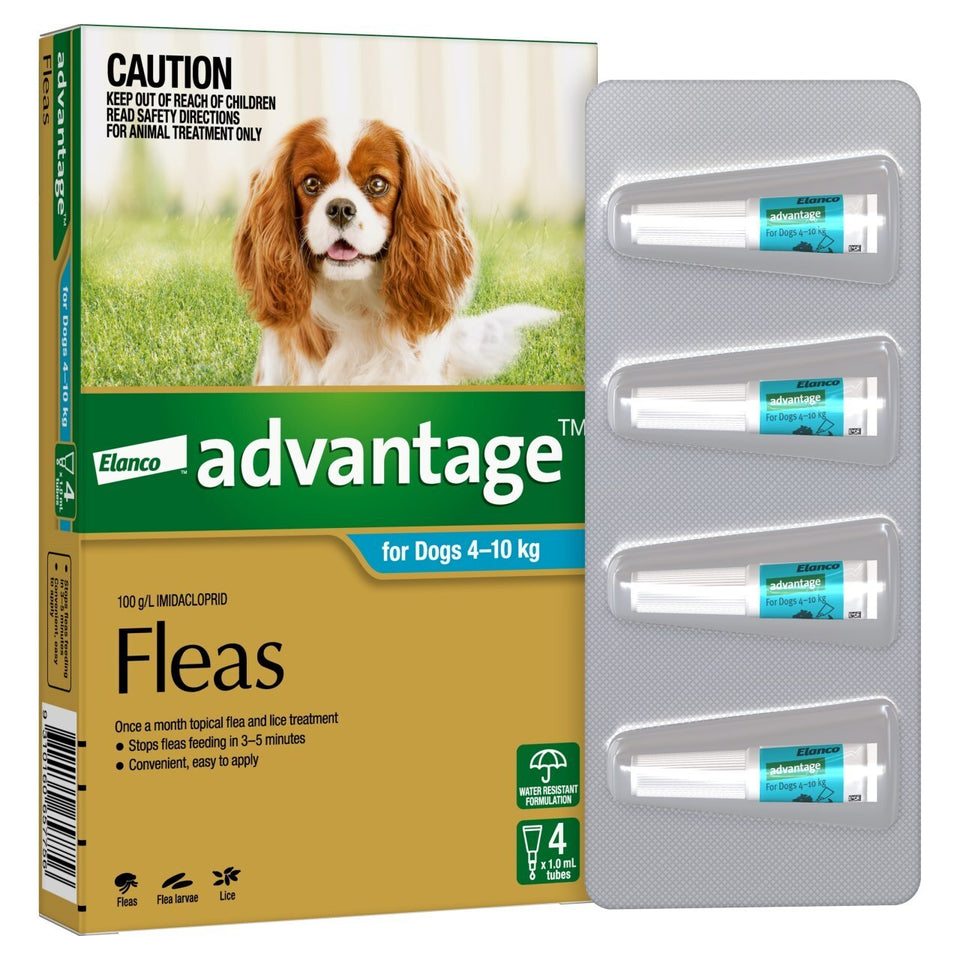 Advantage Aqua Medium Dog (4 Pack)