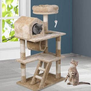 110cm Cat Scratch...