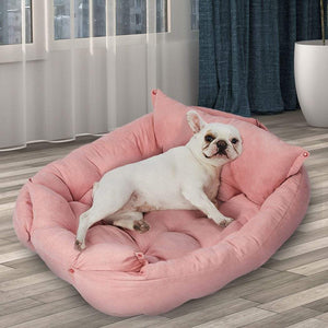 2 USE DOG & CAT S...