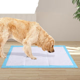 PaWz New 200pcs 60x60cm Puppy Pet Dog Indoor Cat Toilet Training Pads Absorbent