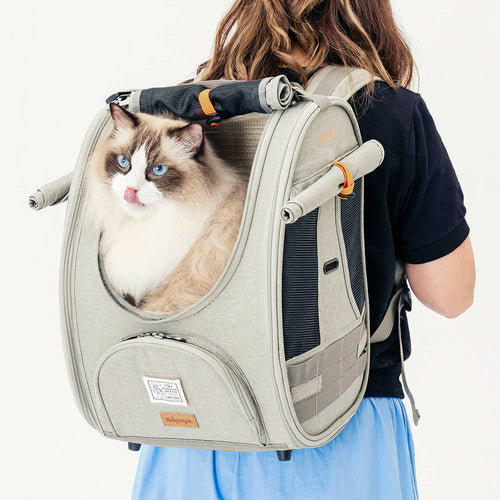 ADVENTURE CAT & SMALL DOG CARRIER BACKPACK - GREY & GREEN