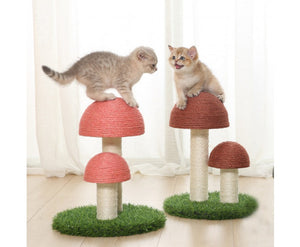 33cm Mushroom Cat Scratcher - Pink