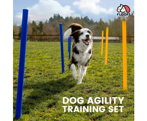 Dog Agility Training Set